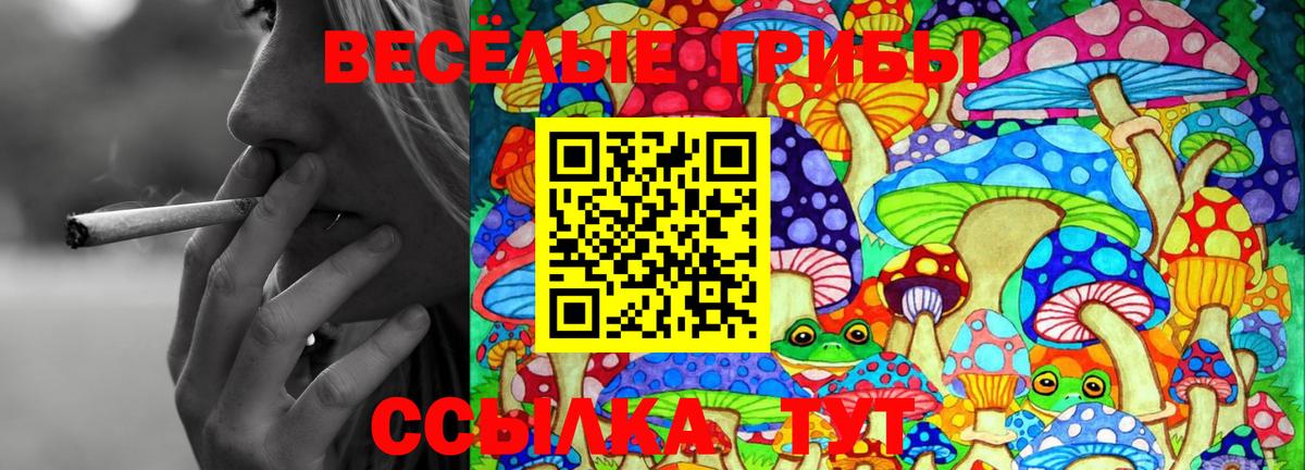 Псилоцибиновые грибы прущие грибы  Вход с VPN  Юрга 